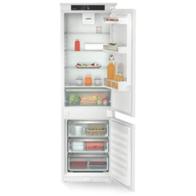 ICSf 5103